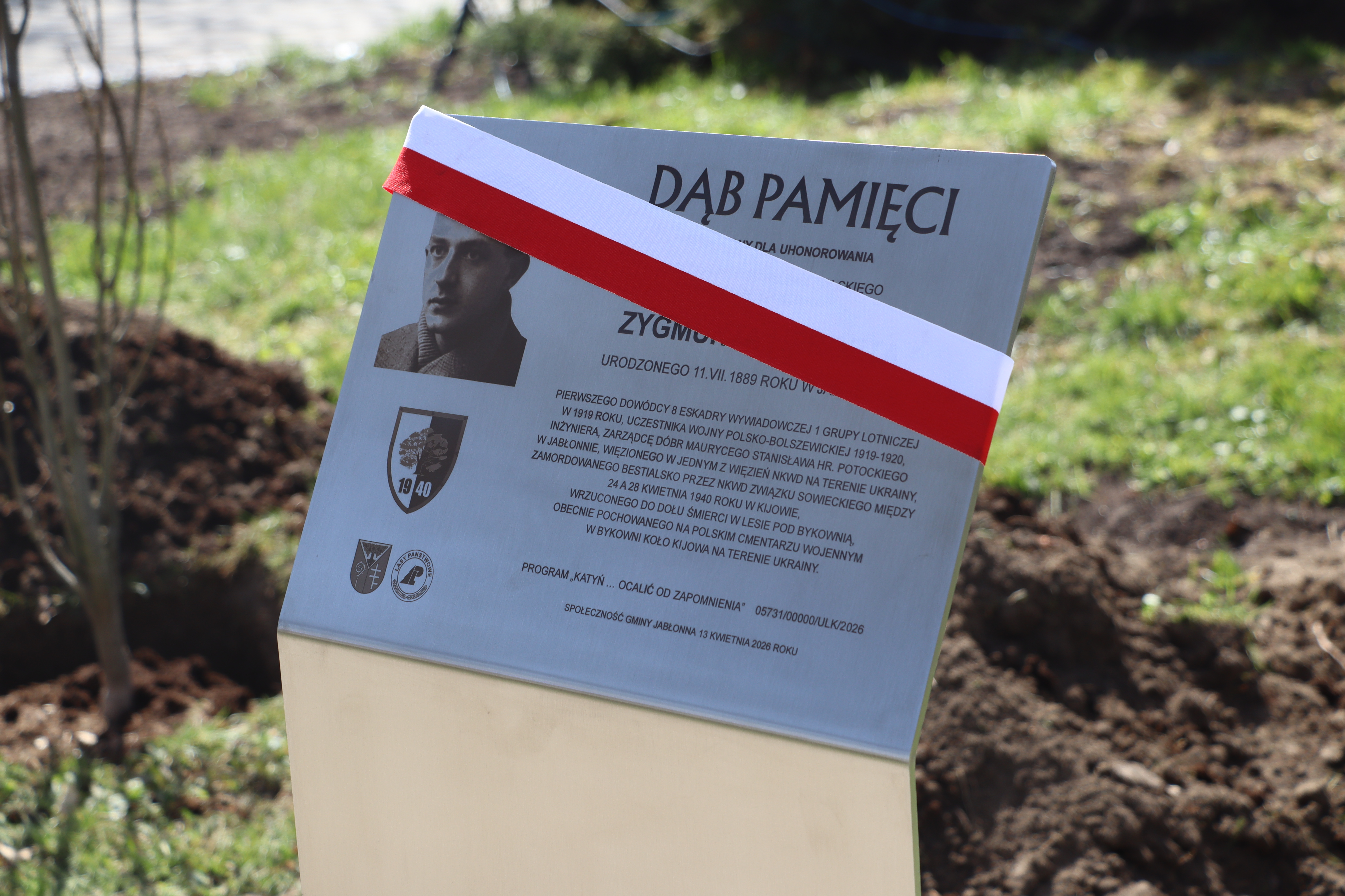 IMG_3742.JPG (6.94 MB)