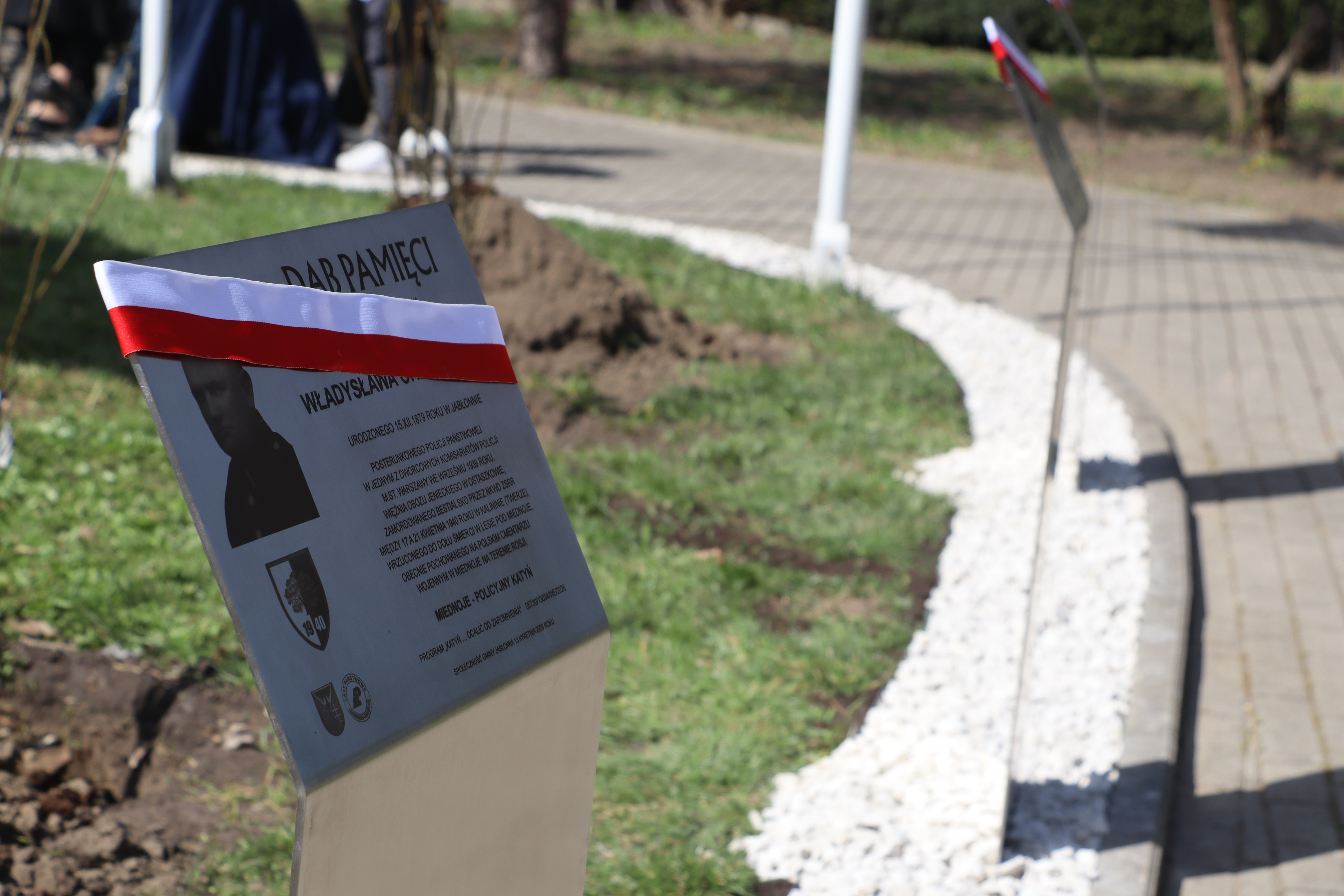 IMG_3743.JPG (6.00 MB)